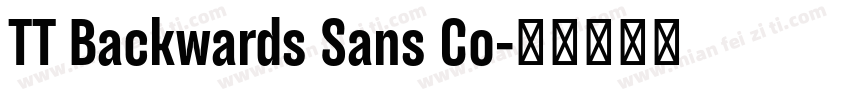 TT Backwards Sans Co字体转换
